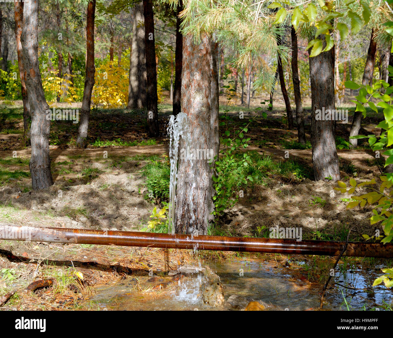 La perdita di acqua da una cricca in un vecchio tubo arrugginito Foto Stock