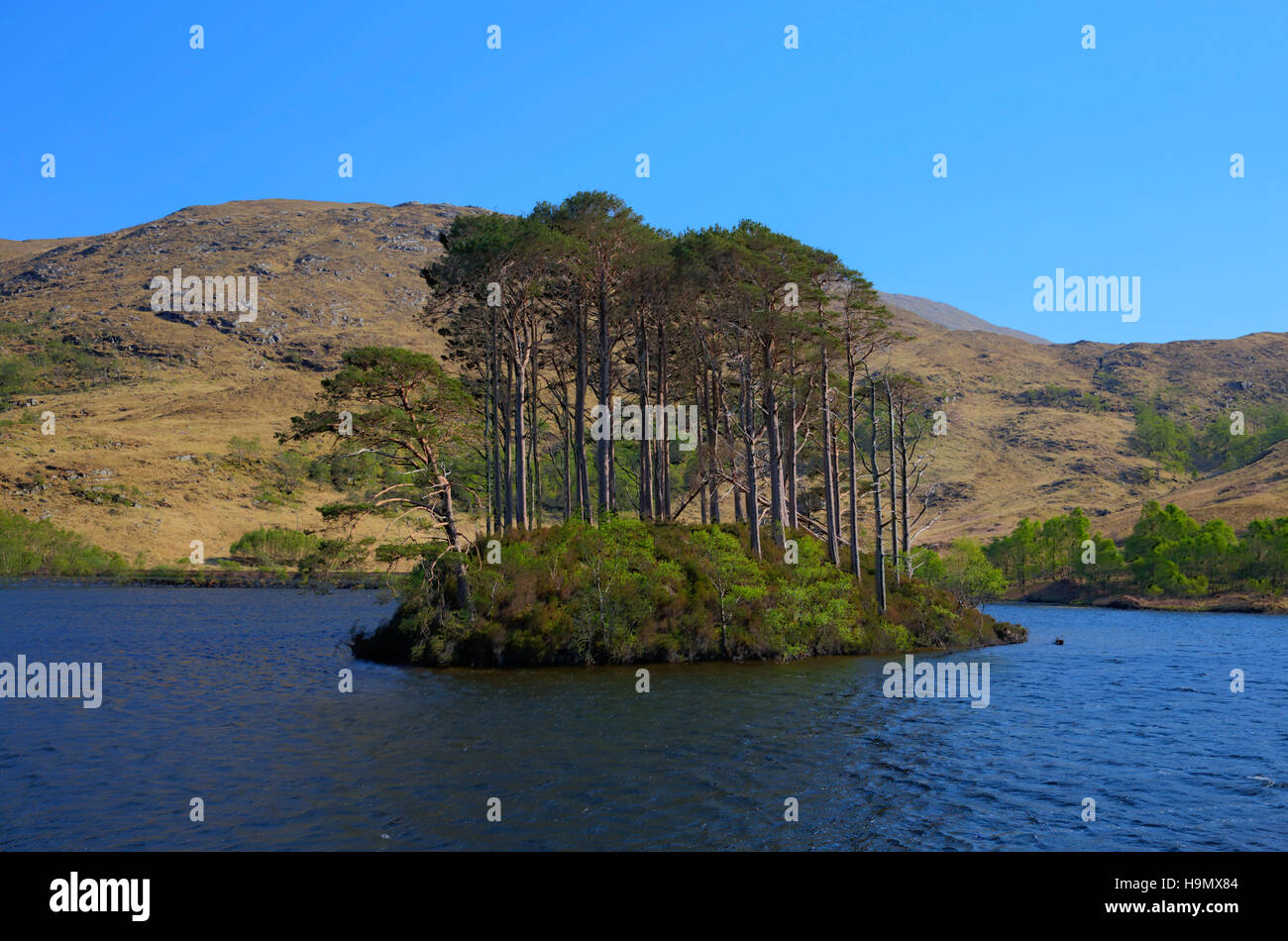 Isola del Lago Loch Eilt Lochaber West Highlands della Scozia vicino a Glenfinnan e Lochailort e a ovest di Fort William cielo blu Foto Stock