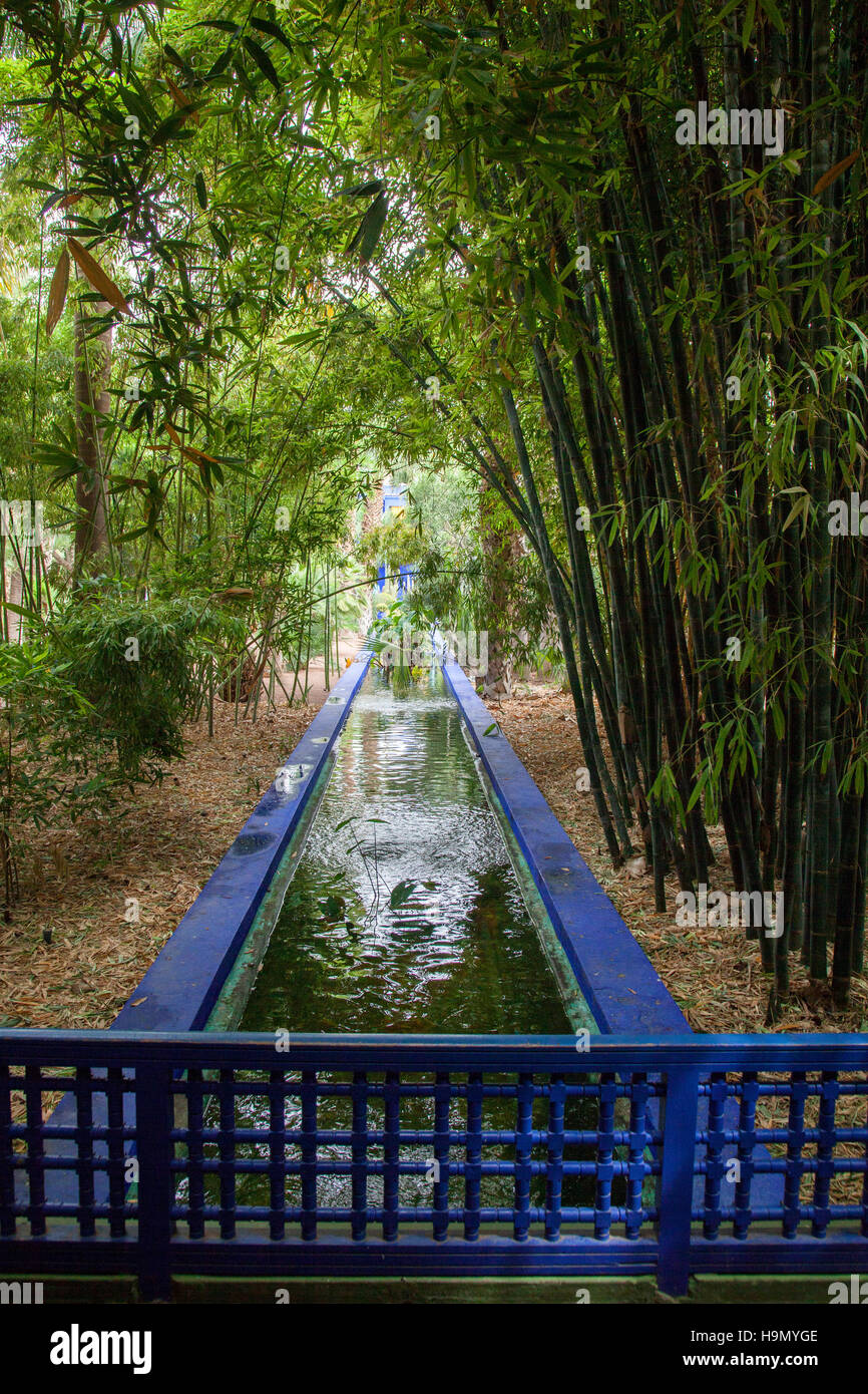 Jardin Majorelle Giardino a Marrakech.che è stato rinnovato dal designer francese Yves Saint Laurent Foto Stock