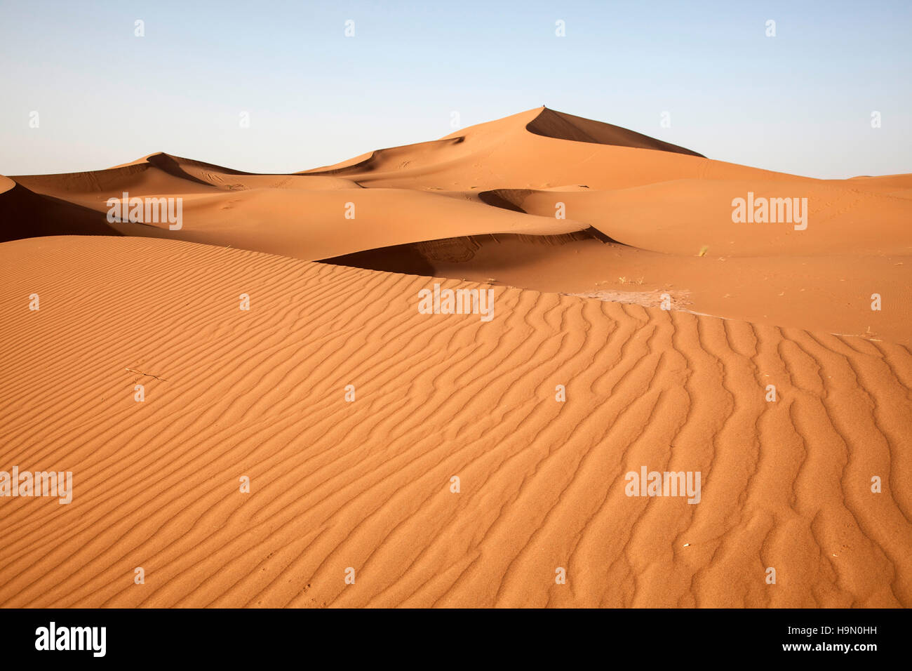 Due ragazzi della distanza sulla sommità di una duna di sabbia nel deserto del Sahara dune. Foto Stock