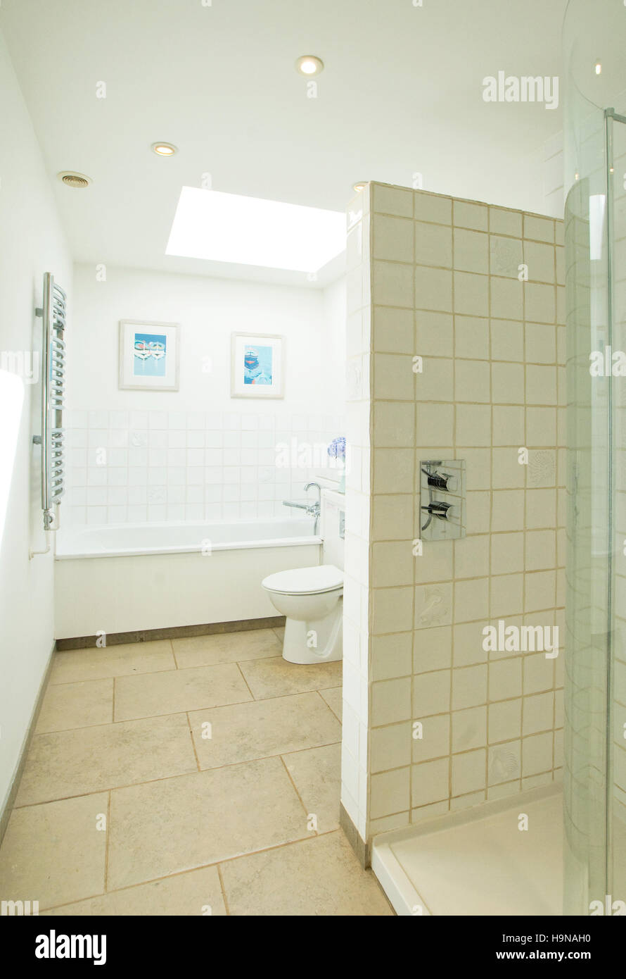 White stanza da doccia con vasca da bagno e wc. Foto Stock