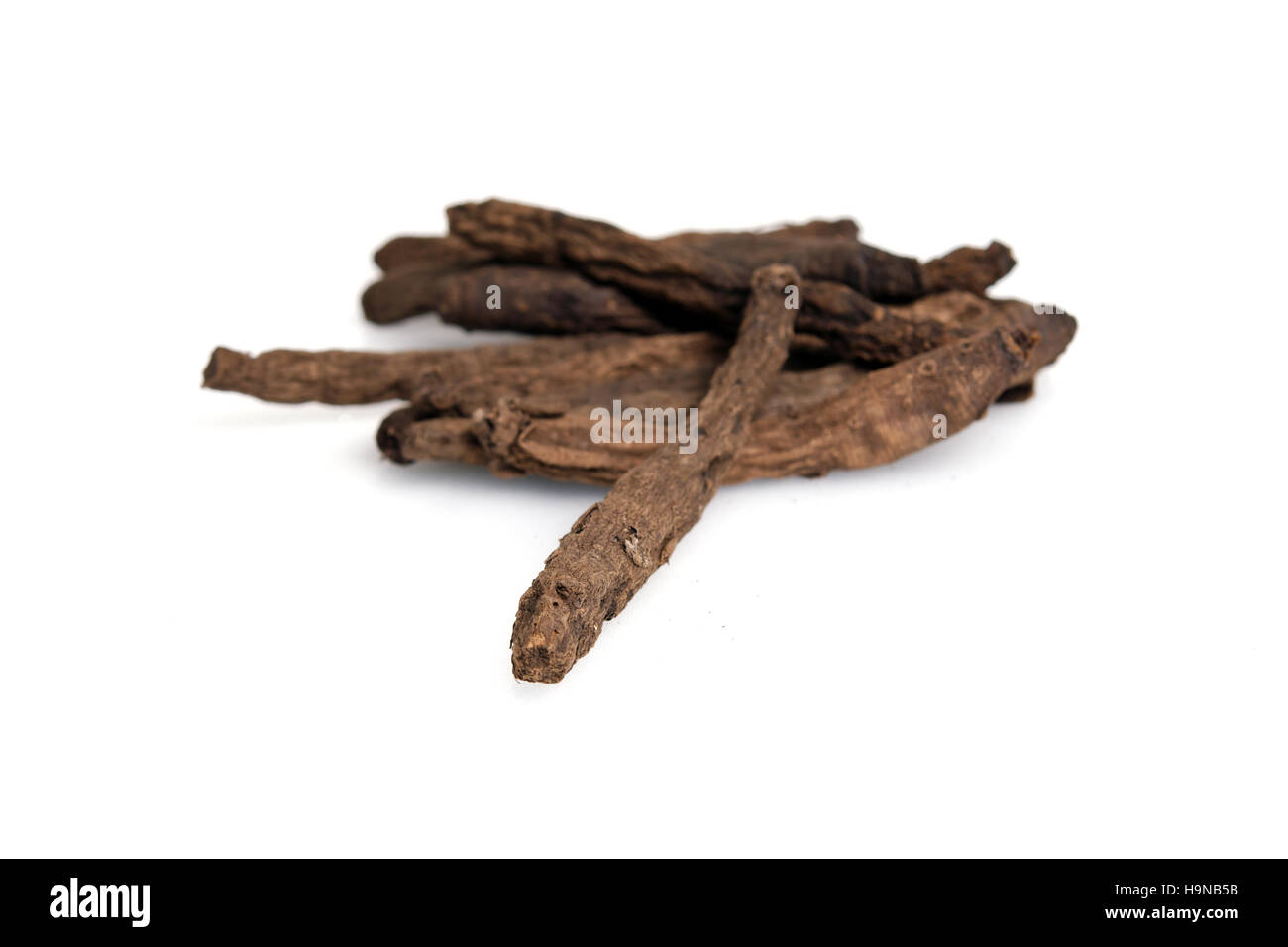 Star in erba (anche denominato Hypoxis aurea Lour., Hypoxidaceae root, Ya dok Kham o Tan diao in Thai, star lily, stelle gialle, stella di erba, patata africana Foto Stock