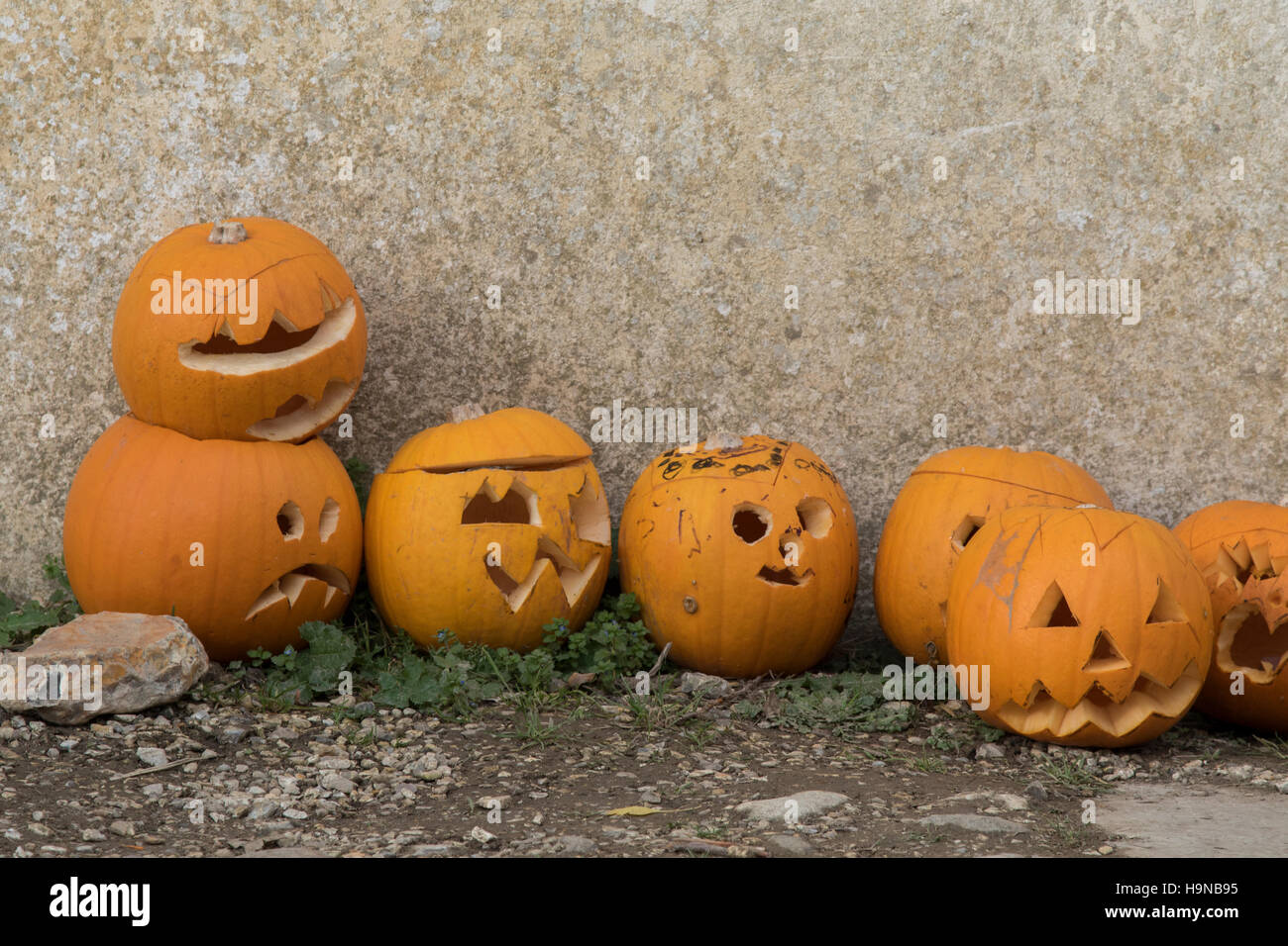 Scolpite zucche, celebrare Halloween Foto Stock