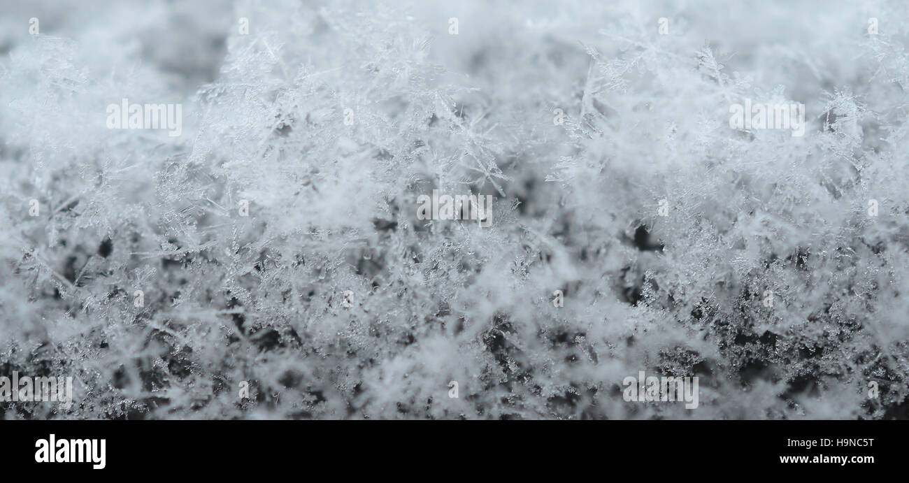 Fiocchi di neve vicino dettagliate fino Foto Stock
