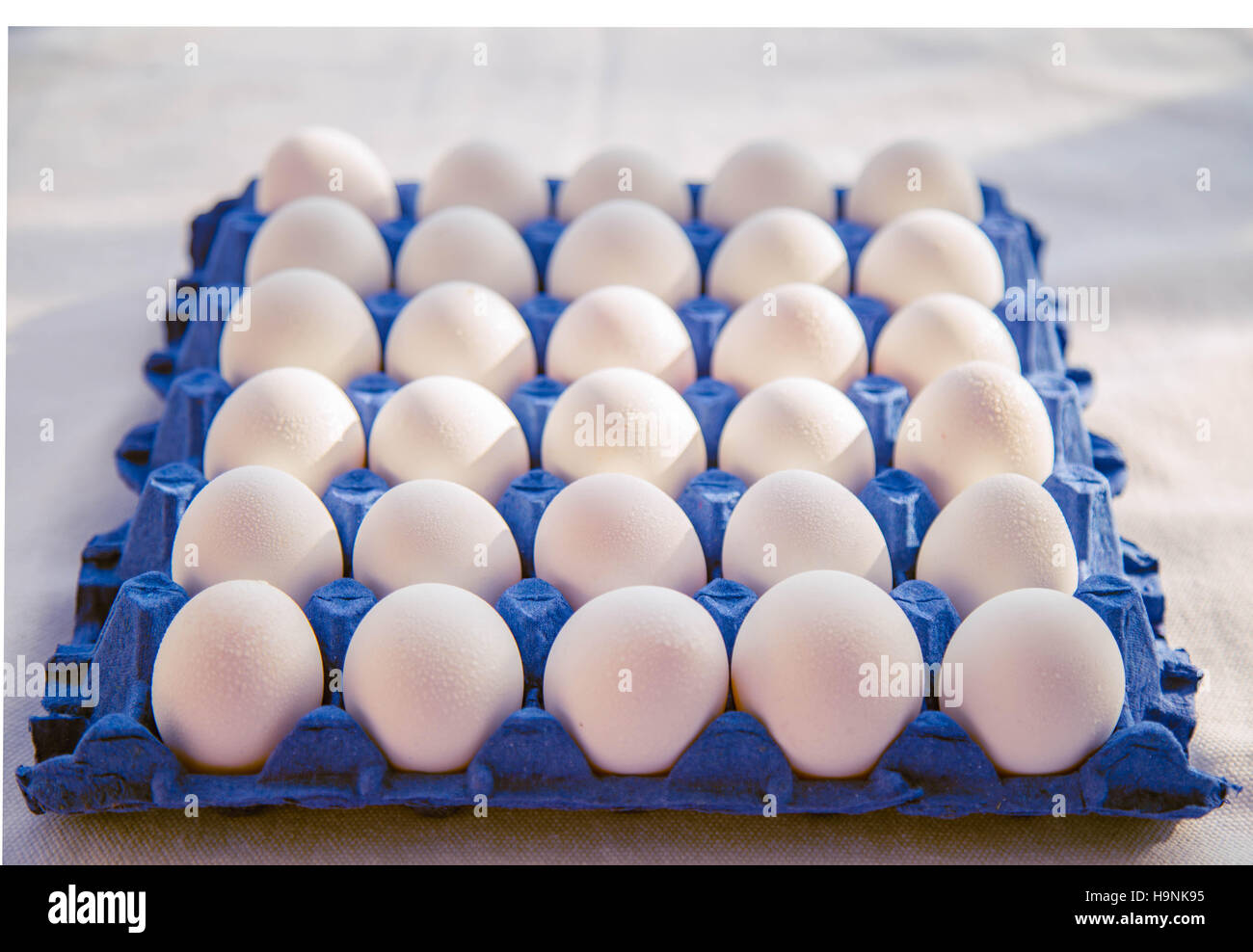 Le uova bianche nel cestello blu Foto Stock