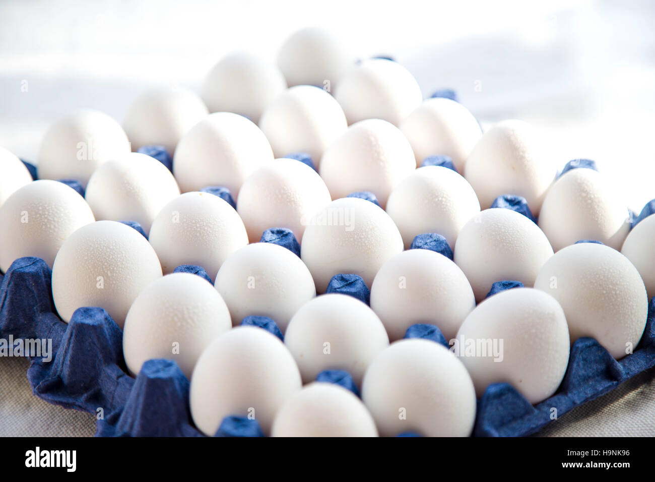 Le uova bianche nel cestello blu Foto Stock