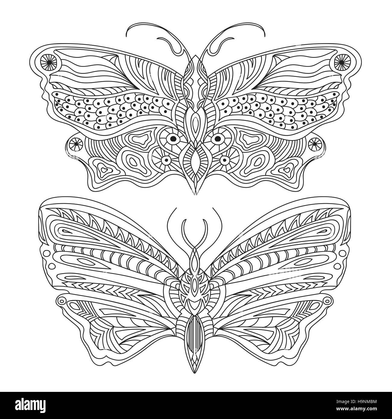 Butterfly concetto creativo - bianco e nero - Vettore Illustrazione Vettoriale