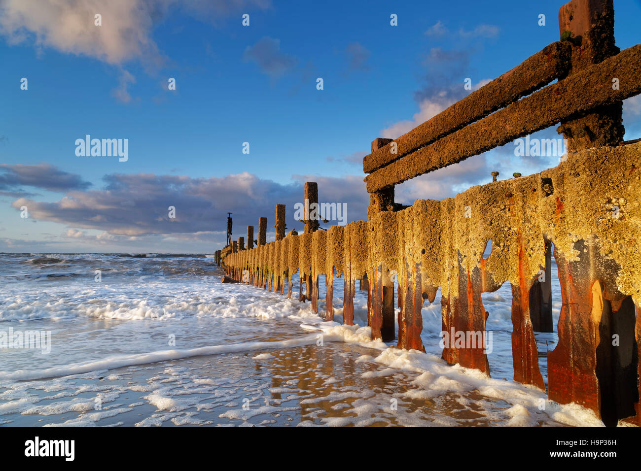 Laminatoio di Thurne Foto Stock