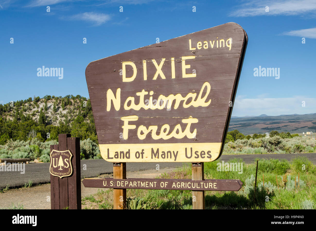 Dixie National Forest, Utah, Stati Uniti d'America. Foto Stock