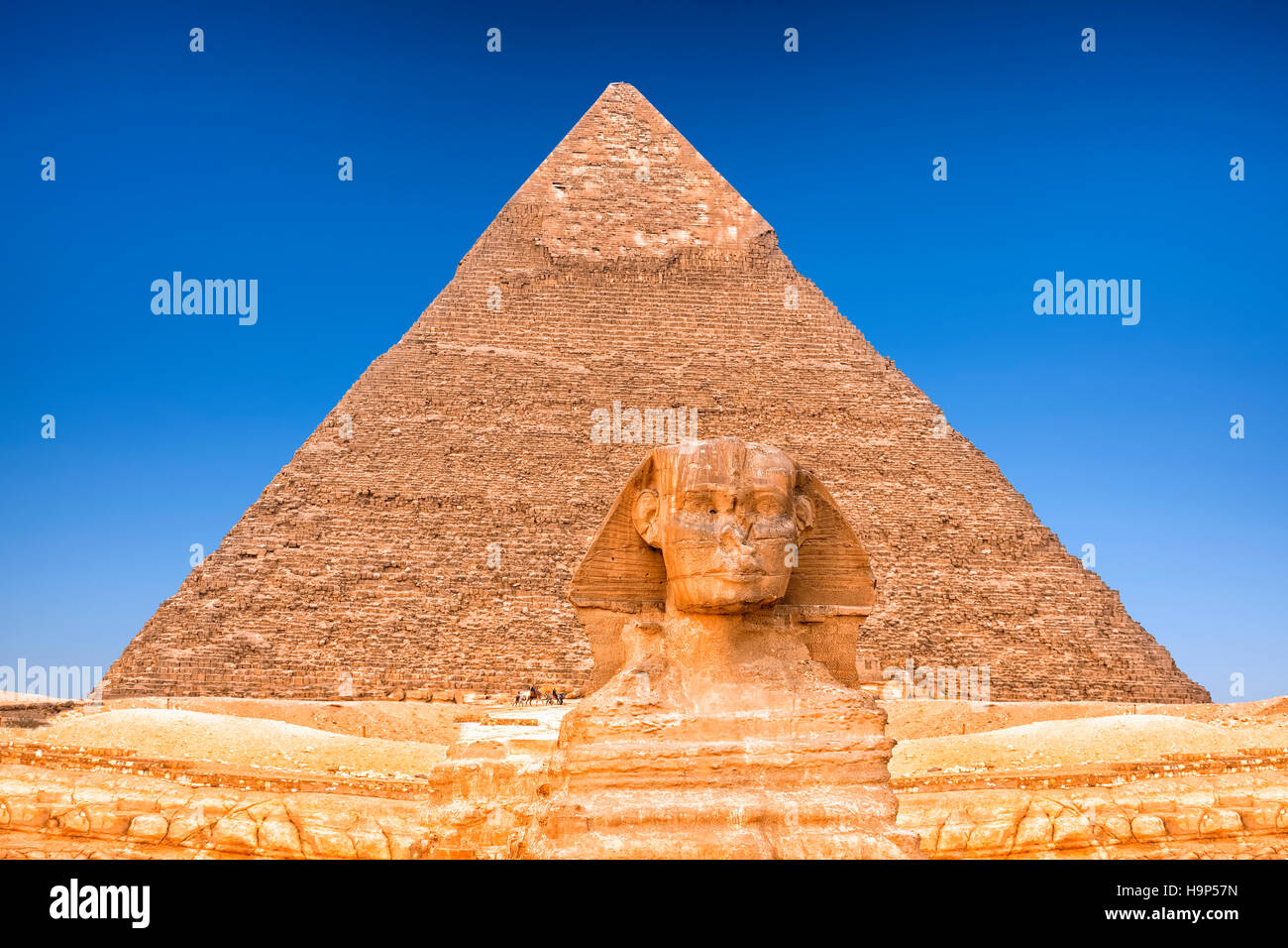 Sfinge di Giza, il Cairo, Egitto Foto Stock