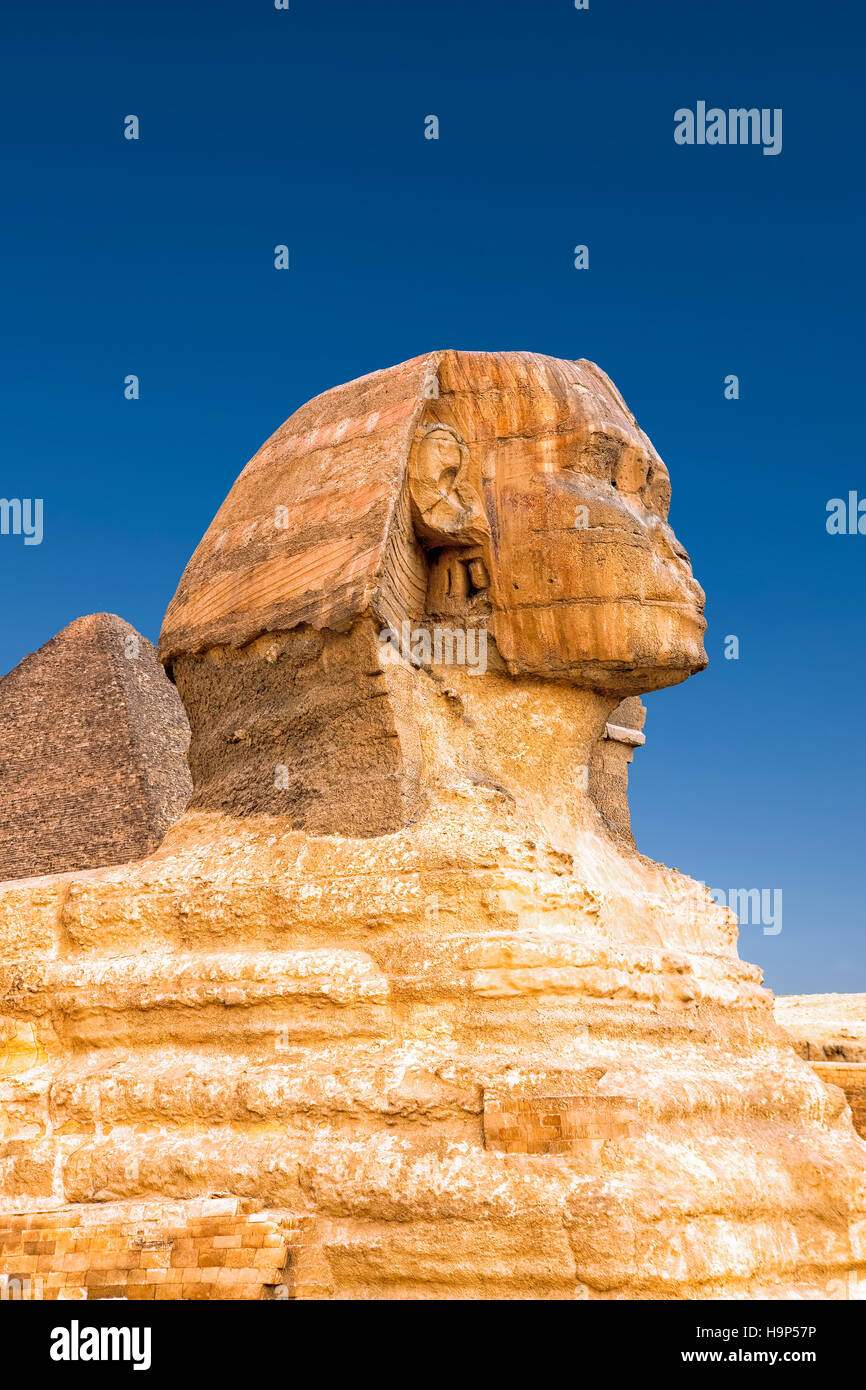 Sfinge di Giza, il Cairo, Egitto Foto Stock