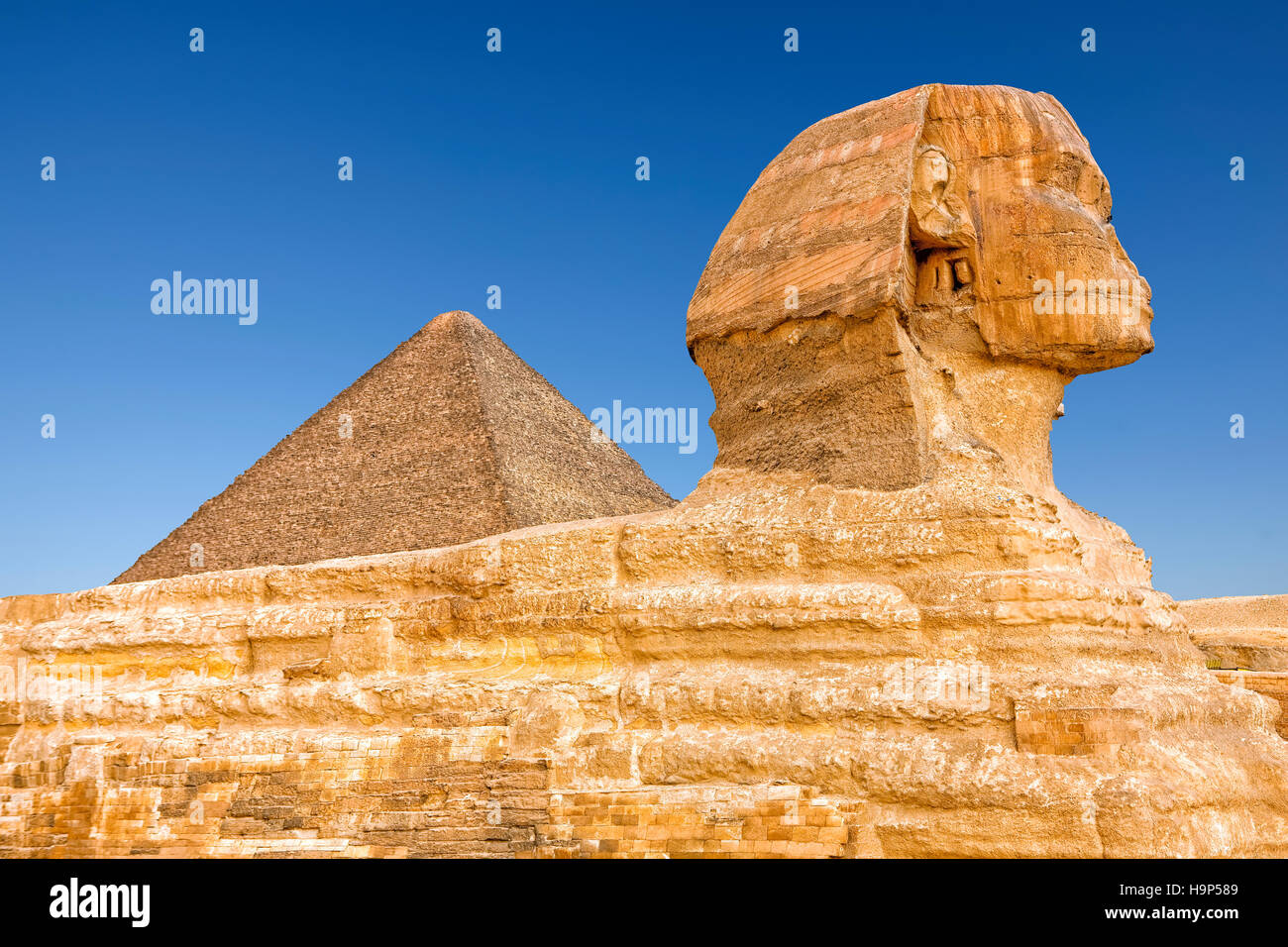 La Sfinge a Giza, il Cairo, Egitto Foto Stock