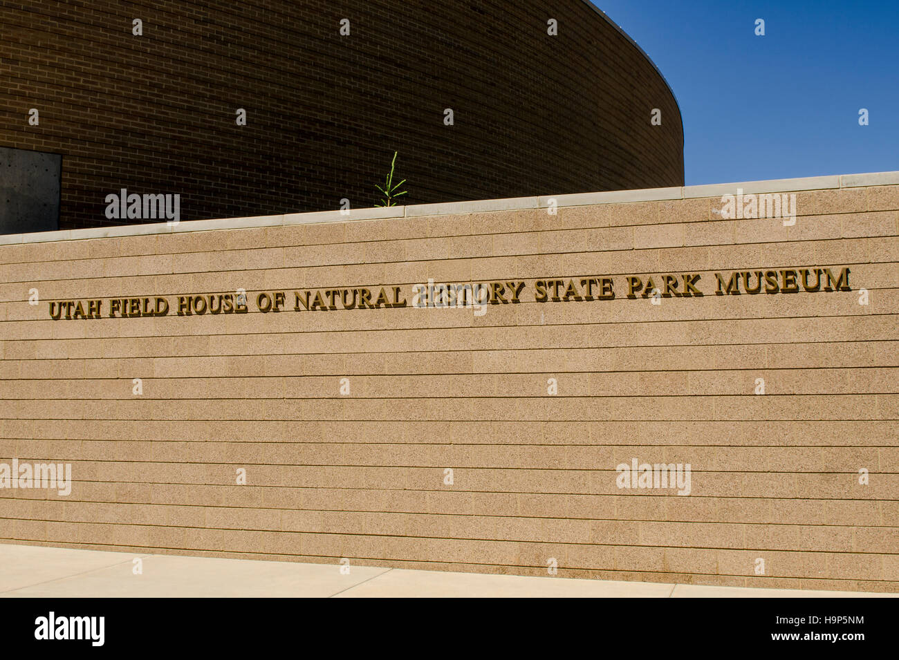 Artefatti a Utah Field House di storia naturale del Parco Statale Museum, primaverile, Utah, Stati Uniti d'America. Foto Stock
