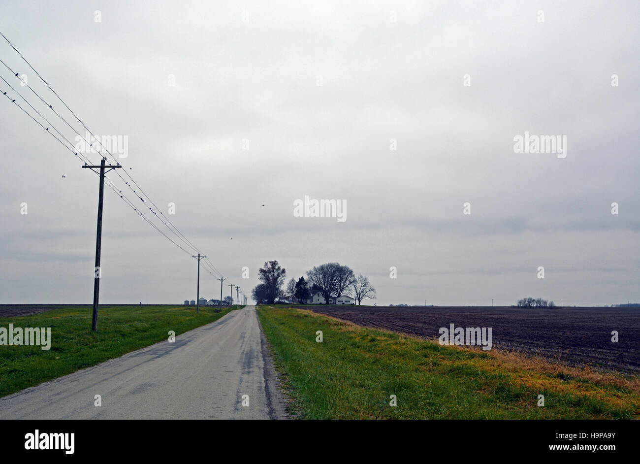Telefono e poli di potenza tratto largo in distanza a freddo grigio cielo di novembre nel midwestern Stati Uniti. Foto Stock