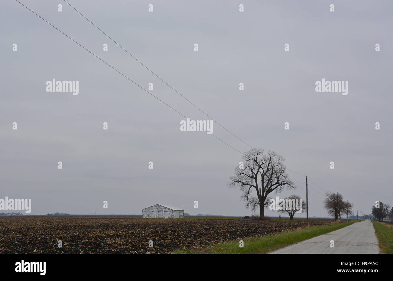 Una strada rurale conduce fuori nella distanza a freddo grigio cielo di novembre nel midwestern Stati Uniti farm paese. Foto Stock