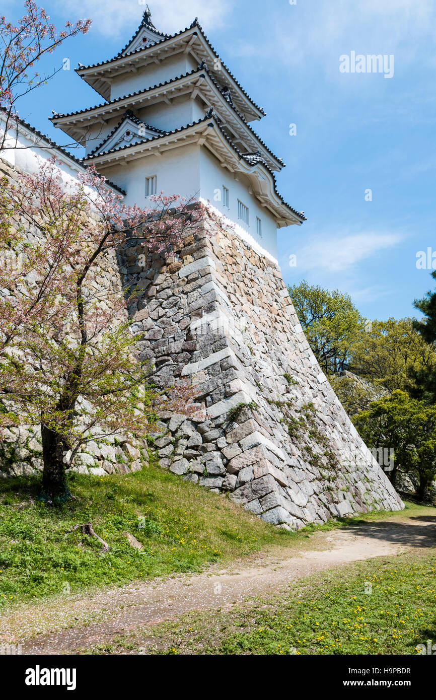 Giappone, Akashi castle, AKA Kishun-jo. Ishigaki muro di pietra con dobei intonaco bianco, shikuri, leader superiore a 3 piani Tatsumi yagura, torretta, cielo blu. Foto Stock