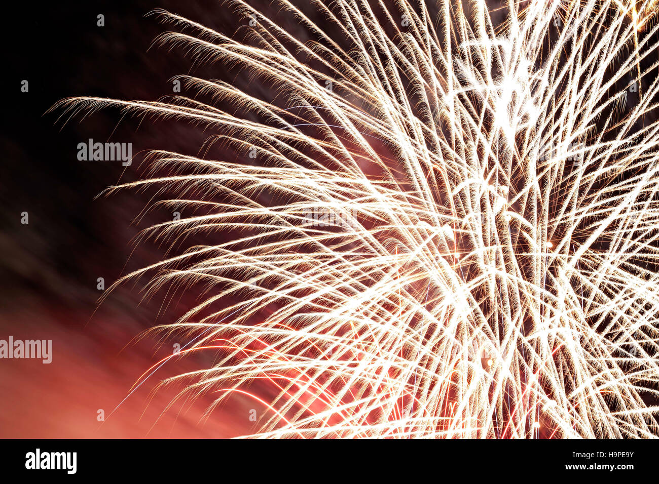 Fuochi d'artificio Foto Stock