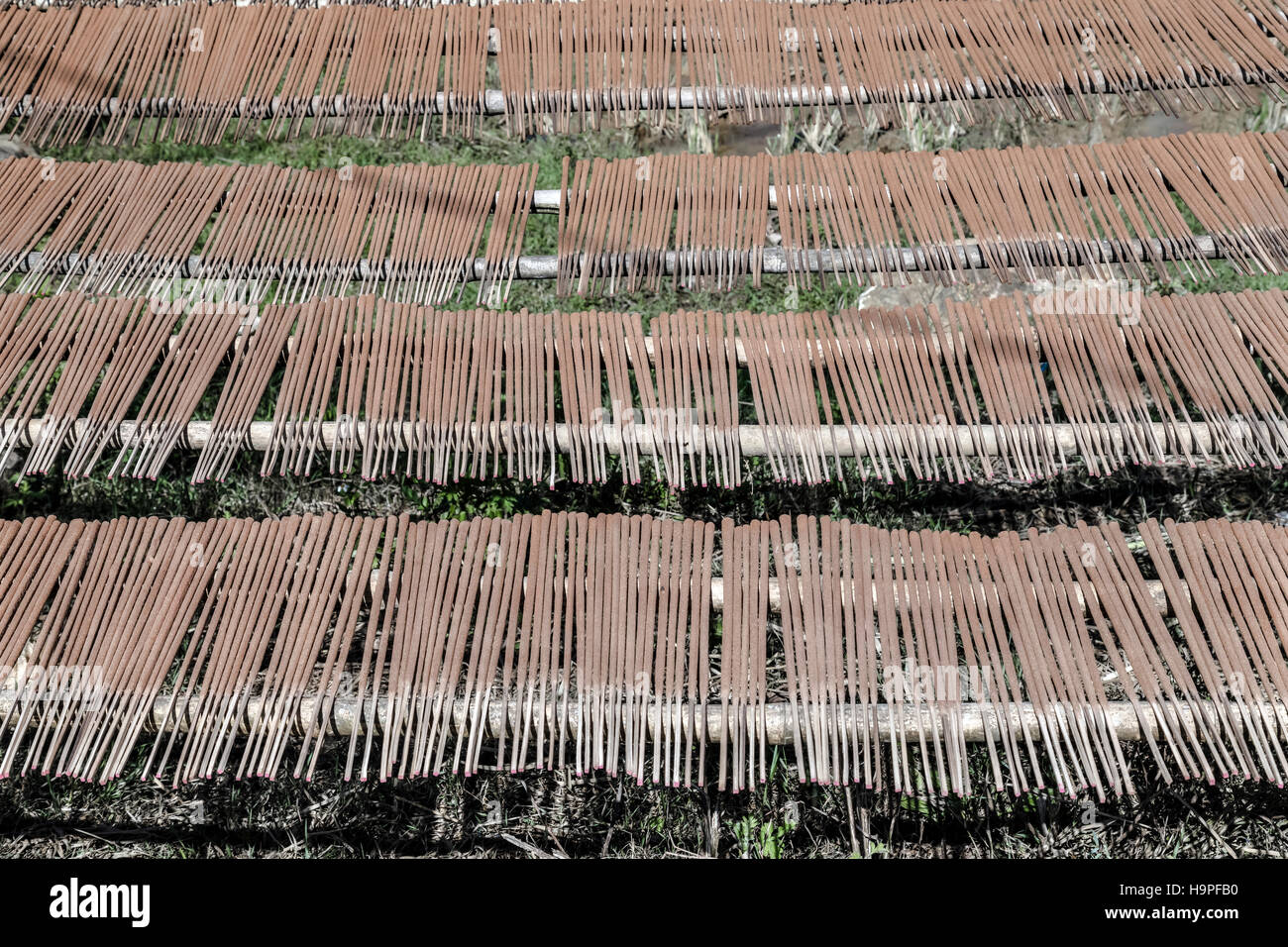 La produzione di bastoncini di incenso nel villaggio tribale Lao Chai, Sapa, il Vietnam Asia Foto Stock