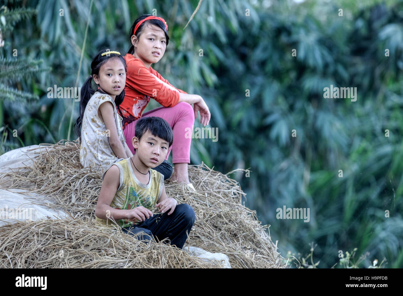 I bambini vietnamiti nel villaggio tribale Lao Chai di Sapa, il Vietnam Asia Foto Stock