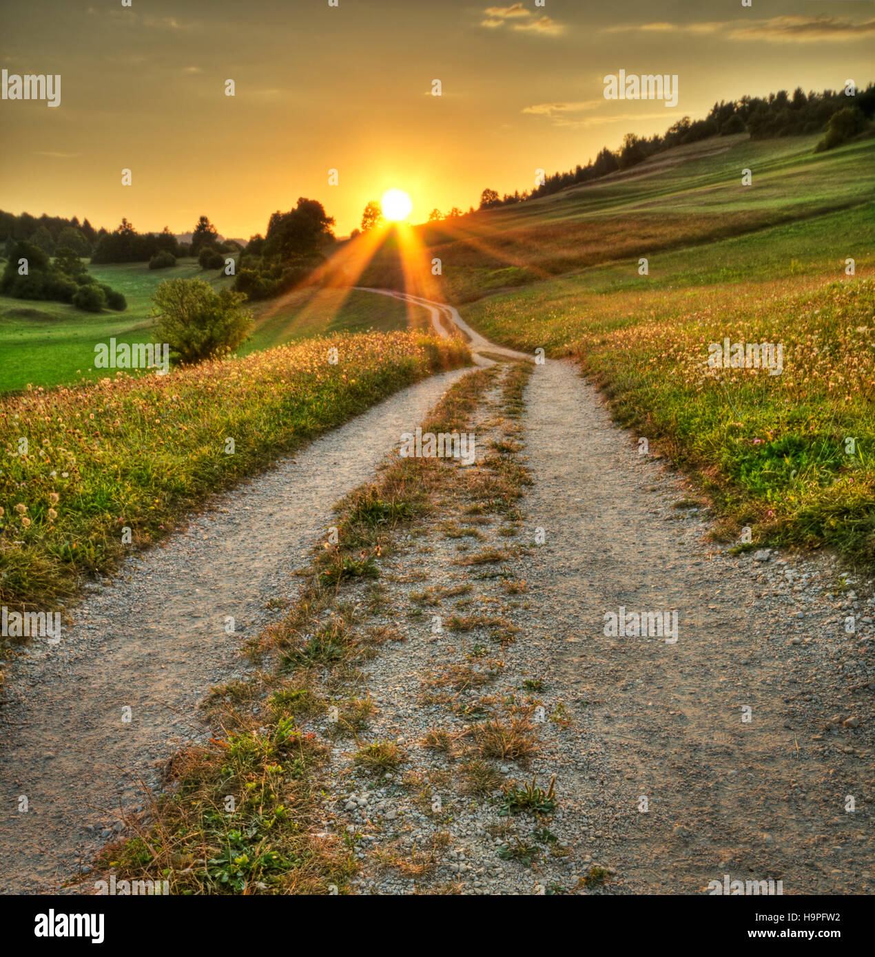 Idilliaco tramonto sulla strada polverosa in campagna Foto Stock