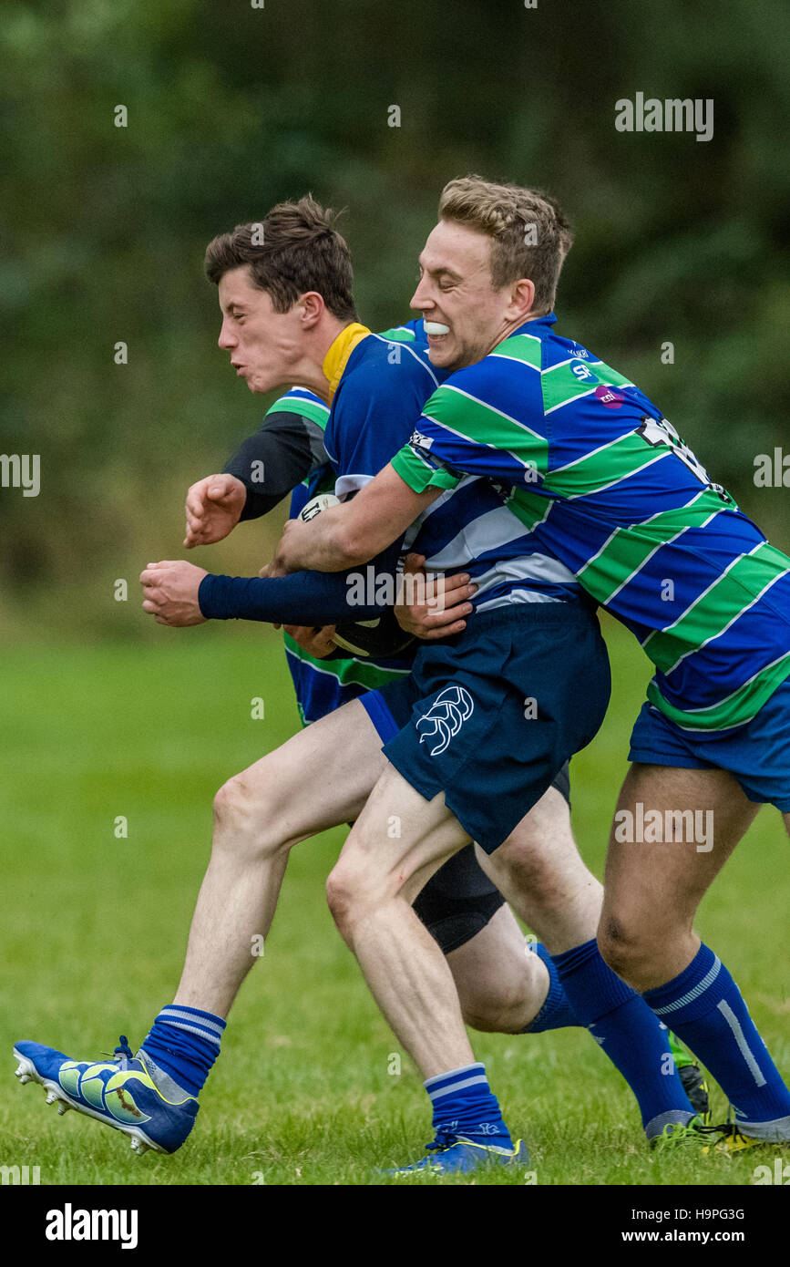 Maschio di rugby union giocatore di football combattuta Foto Stock