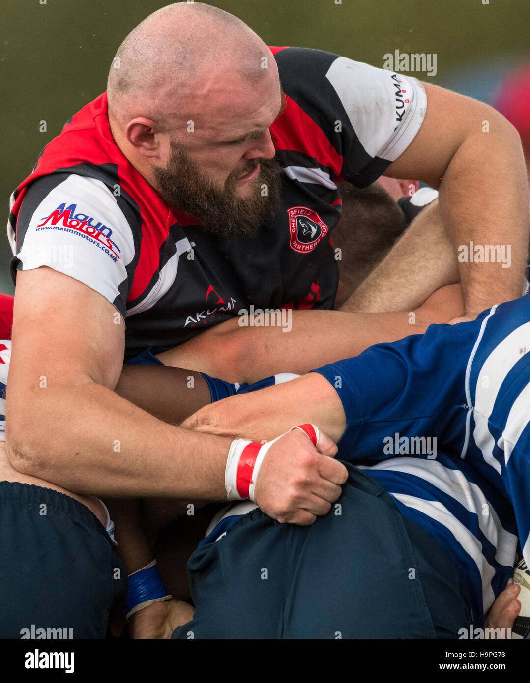 Giocatori di Rugby giocando a rugby union. Foto Stock