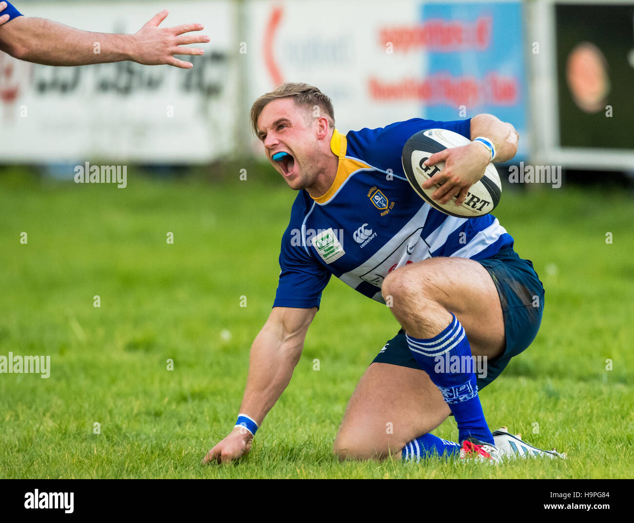 Giocatore di Rugby estasiato dopo incisione con un tocco. Foto Stock