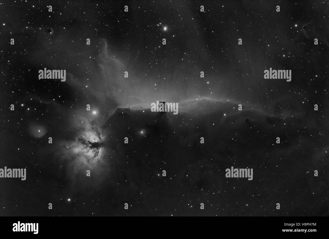 Horsehead fiamma e nebulose nella costellazione di Orione, foto in bianco e nero di horsehead nebula - scattate con fotocamera specializzati Foto Stock