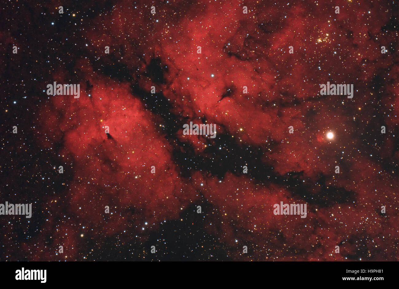 Butterfly nebula nella costellazione del Cigno, idrogeno ionizzato regione, IC1318 vicino a Sadr star - scattate con fotocamera specializzati Foto Stock