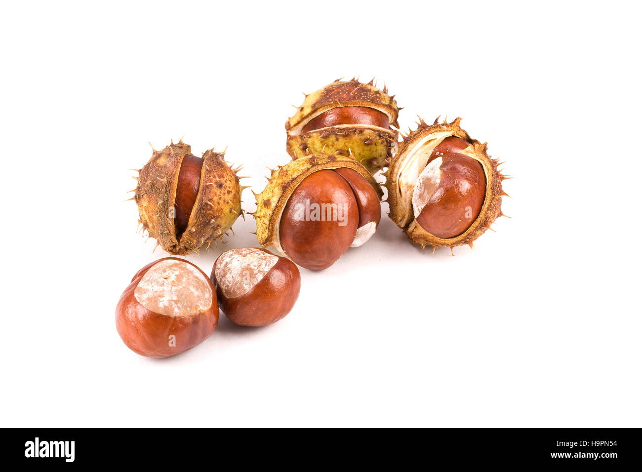 Castagne Foto Stock