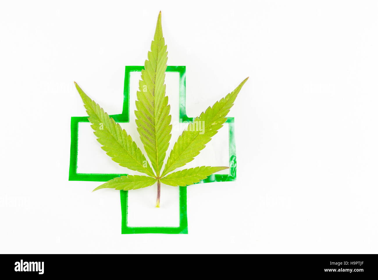 Pianta di cannabis medica e segno. Medicina alternativa abstract Foto Stock