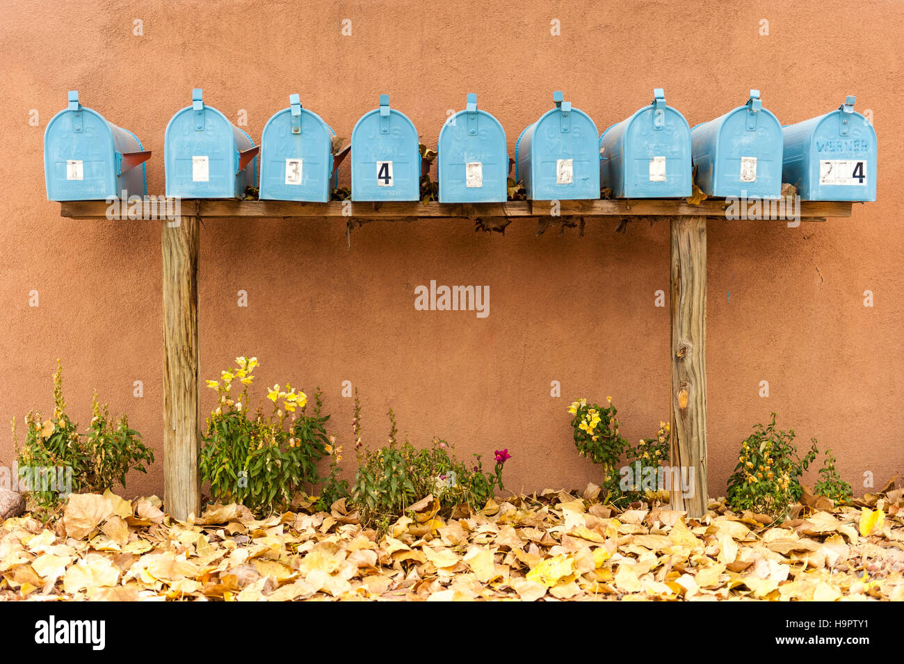 Un gruppo di caselle blu montato su un piedistallo di legno sul marciapiede, sostenuta da un'adobe parete di stile Foto Stock