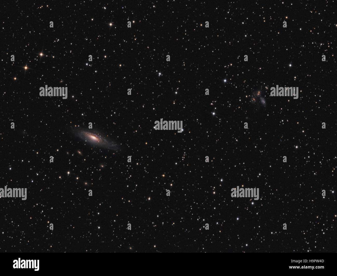 Deep space: galassia NGC 7331 e Stephan il quintetto (Hickson 92) della costellazione di Pegasus Foto Stock