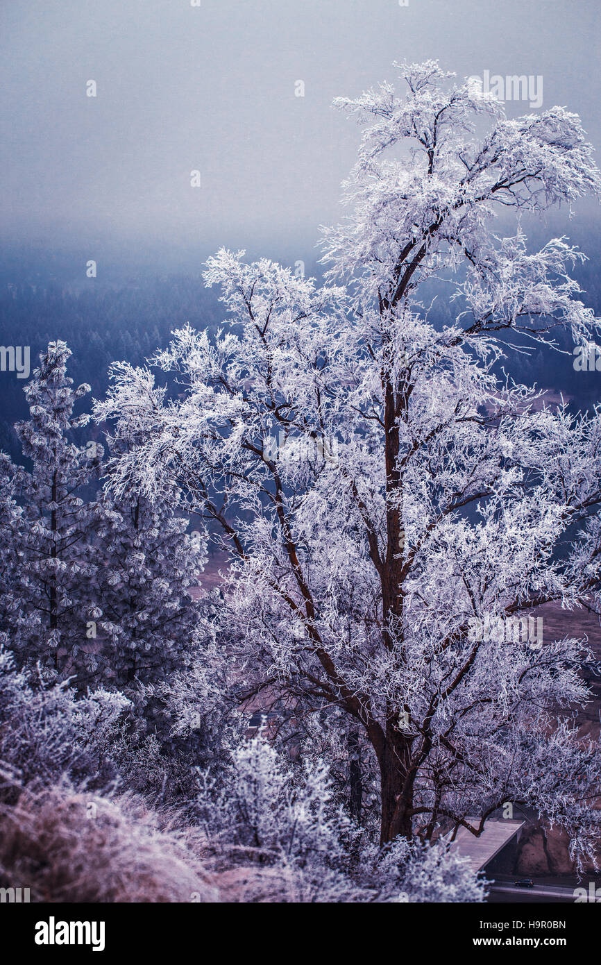 Inverno a Spokane Foto Stock