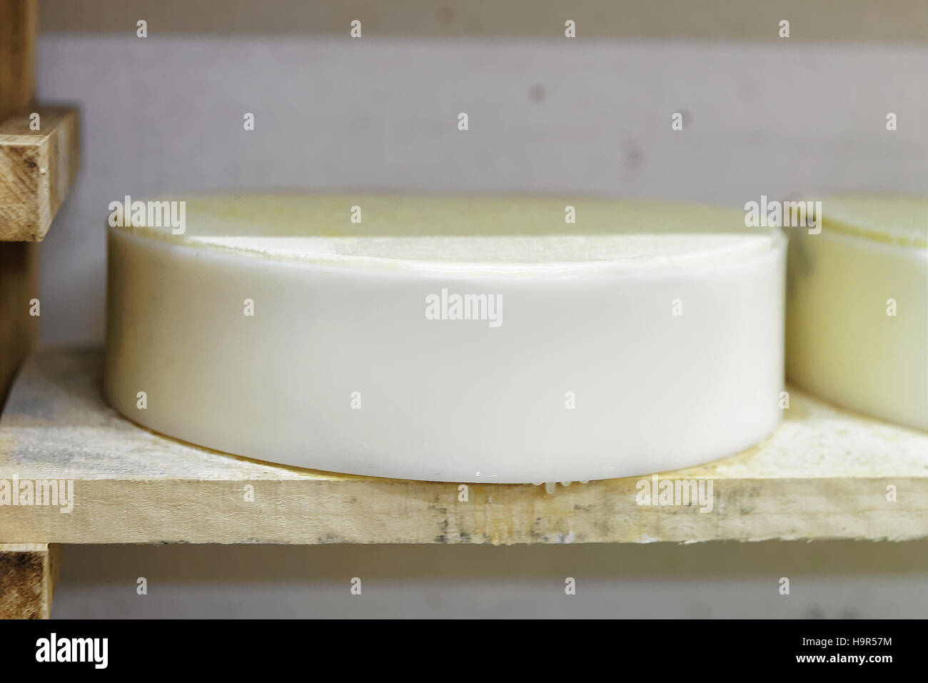 Giovani formaggio su scaffalature di legno nella cantina di maturazione a FRANCHE COMTE dairy in Francia Foto Stock