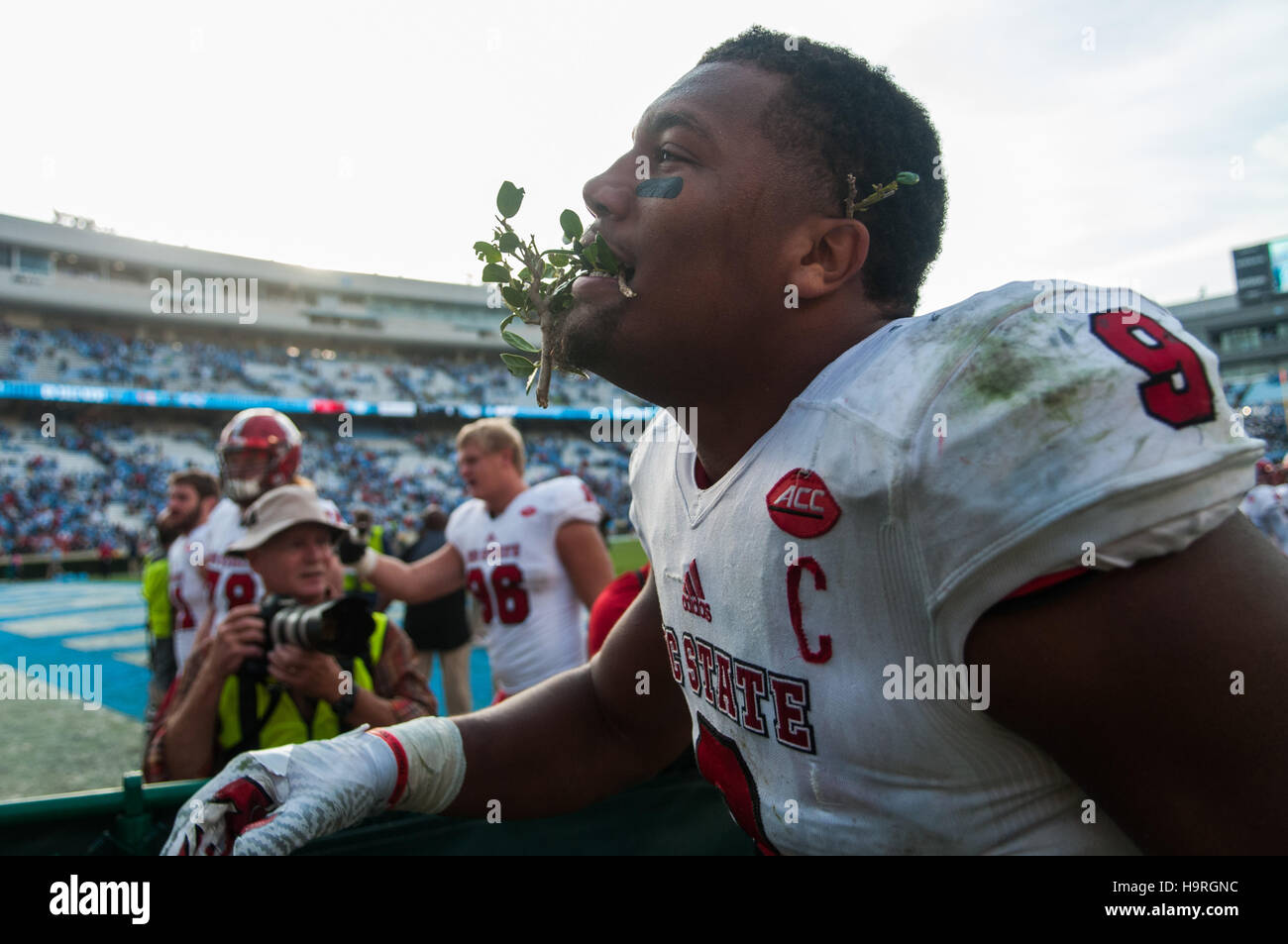 Chapel Hill, North Carolina, USA. 25 Nov, 2016. Nov. 25, 2016 - Chapel Hill, N.C., STATI UNITI D'AMERICA - North Carolina State Wolfpack difensivo fine Bradley Chubb (9) assume un pezzo di siepi che circondano Kenan Memorial Stadium dopo un NCAA Football gioco tra il North Carolina Tar Heels e il N.C. Wolfpack stato a Chapel Hill, N.C. N.C. Lo stato ha vinto il gioco 28-21. © Timothy L. Hale/ZUMA filo/Alamy Live News Foto Stock