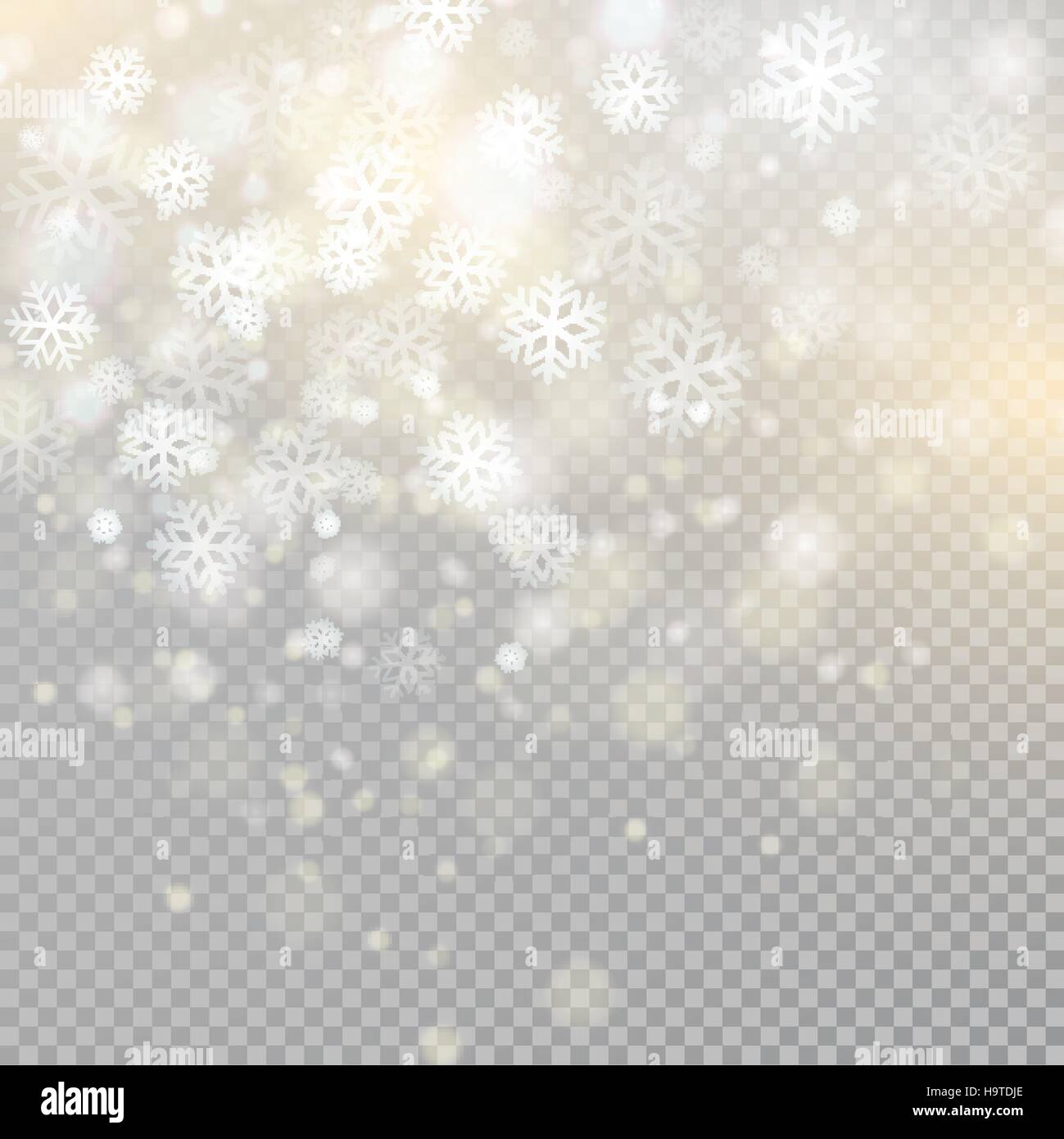 Bokeh di fondo grigio chiaro brilla sulla trasparenza sfondo particelle incandescenti elemento per effetti speciali.illustrazione vettoriale Illustrazione Vettoriale