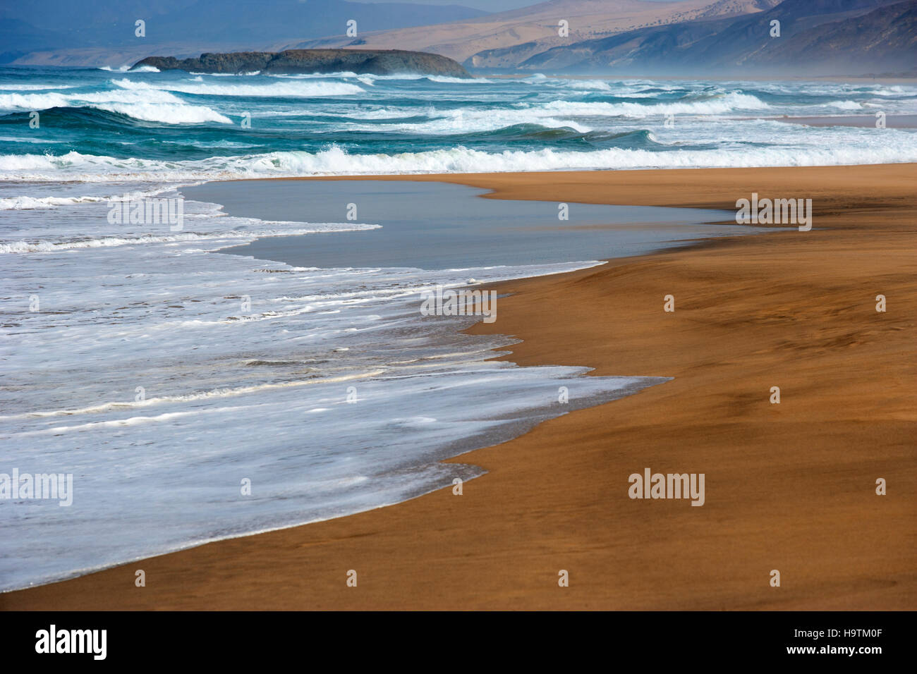 Forte di surf, Spiaggia Cofete, costa nord, Jandia, Fuerteventura, Isole Canarie, Spagna Foto Stock