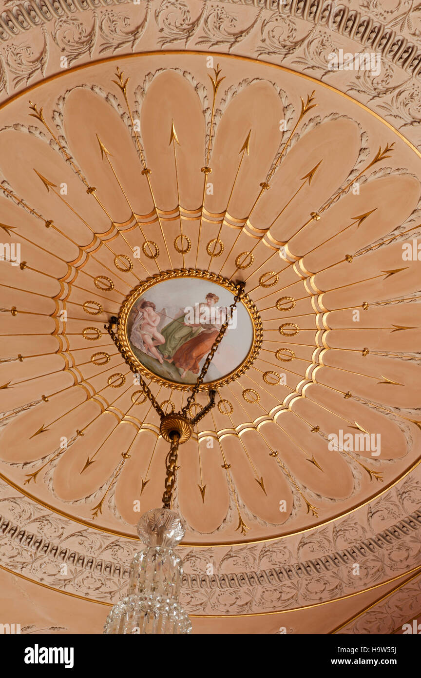 Particolare del soffitto progettato da George Steuart nell'Uva sultanina Camera al Attingham Park, Shropshire. Il dipinto è roundel da un design del 1770s Foto Stock