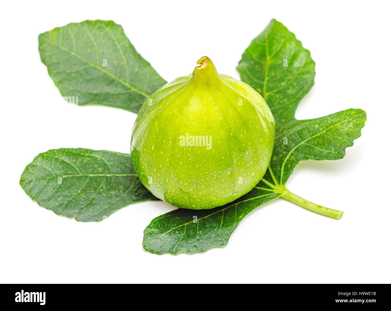 Green fig frutti con foglie isolati su sfondo bianco Foto Stock