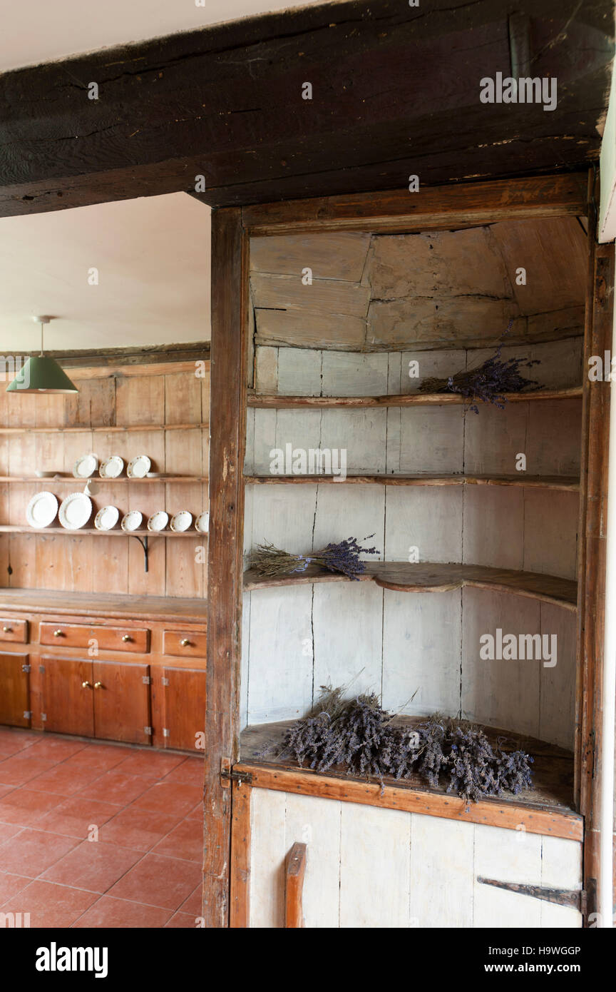 Essiccazione di lavanda sui ripiani in cucina ad Avebury Manor, Wiltshire, Foto Stock