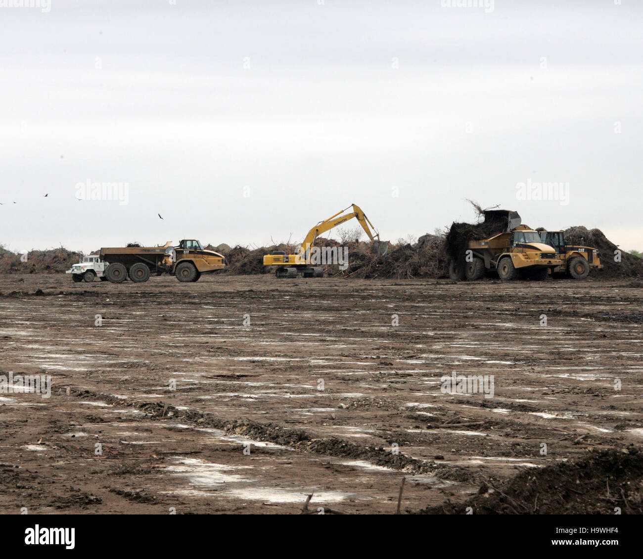 The Hole in the Donut Restoration Project nel Parco Nazionale delle Everglades si concentra sul ripristino di terreni e zone umide influenzate dall'attività umana. Il progetto mira a migliorare la salute ecologica e a migliorare la biodiversità nel parco. Foto Stock