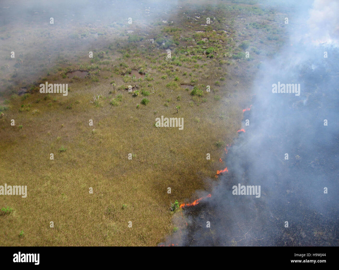 Il Parco Nazionale delle Everglades è noto per le sue praterie costiere e gli sforzi di gestione degli incendi, che aiutano a mantenere la salute dell'ecosistema Foto Stock