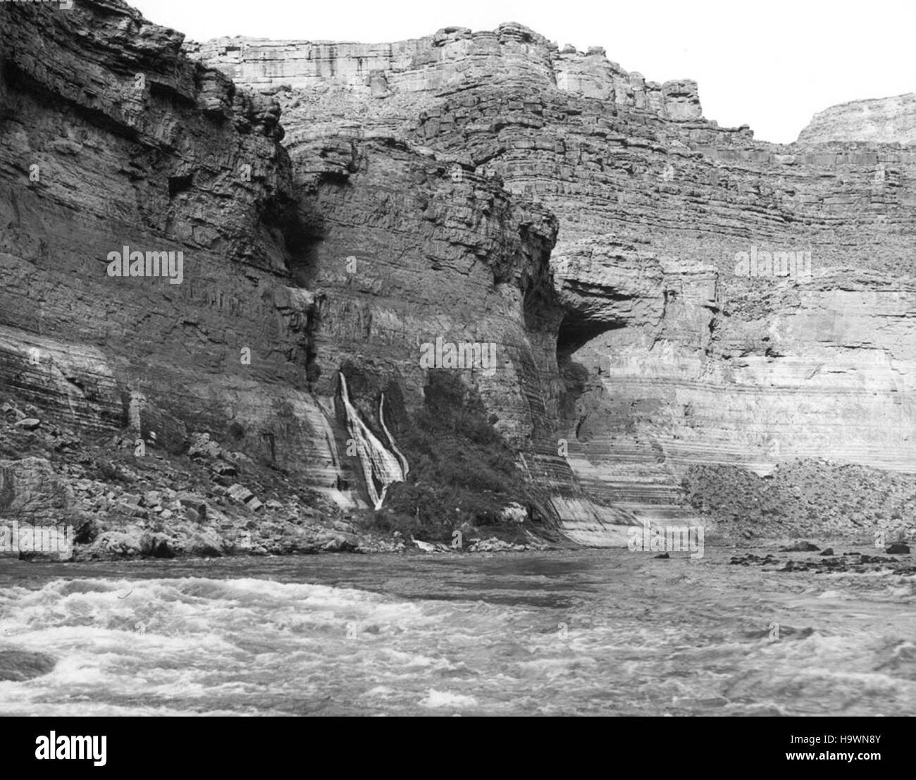 Il Parco Nazionale del Grand Canyon mostra il suo paesaggio mozzafiato attraverso una storica foto sul fiume, sottolineando la botanica e la bellezza naturale della regione. L'immagine cattura la diversità paesaggistica e botanica di questa meraviglia naturale, offrendo approfondimenti sulla ricchezza ecologica e sul significato storico del parco. Foto Stock