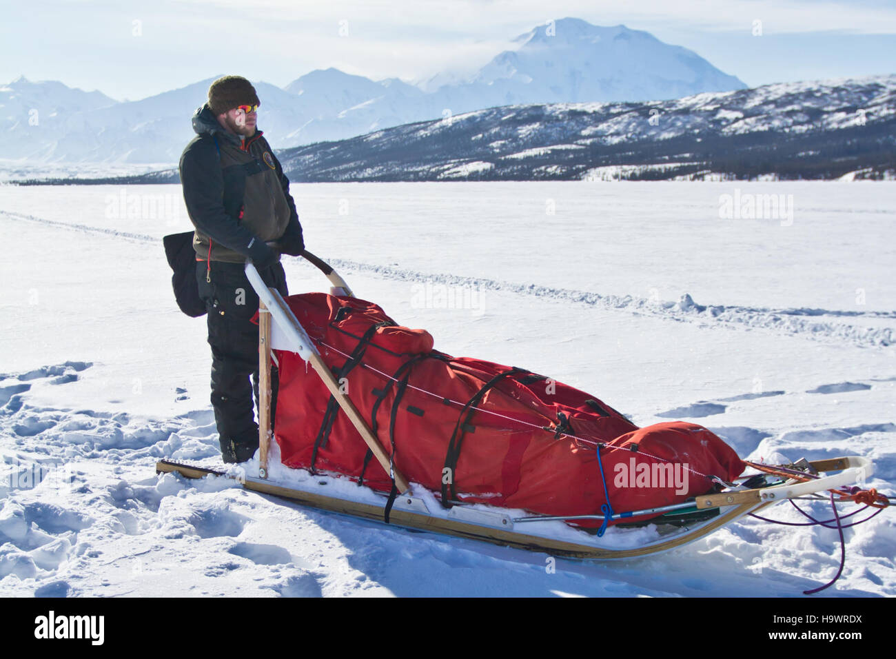 Il mushing volontario, o slitta trainata da cani, è un'attività invernale molto popolare nel Denali National Park. Consente ai visitatori di sperimentare il paesaggio invernale e la fauna selvatica del parco in un modo unico ed emozionante. Foto Stock
