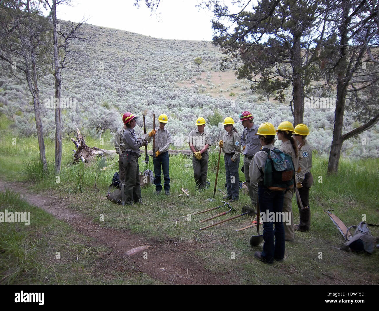 Questa immagine mostra un gruppo di Yellowstone Conservation Corps (YCC) che lavora su progetti di conservazione nel Parco Nazionale di Yellowstone nel 2012. Lo YCC è un programma incentrato sui giovani volto a fornire esperienze pratiche di lavoro ambientale e promuovere la tutela ambientale. Foto Stock Questa immagine mostra un gruppo di Yellowstone Conservation Corps (YCC) che lavora su progetti di conservazione nel Parco Nazionale di Yellowstone nel 2012. Lo YCC è un programma incentrato sui giovani volto a fornire esperienze pratiche di lavoro ambientale e promuovere la tutela ambientale. Foto Stock