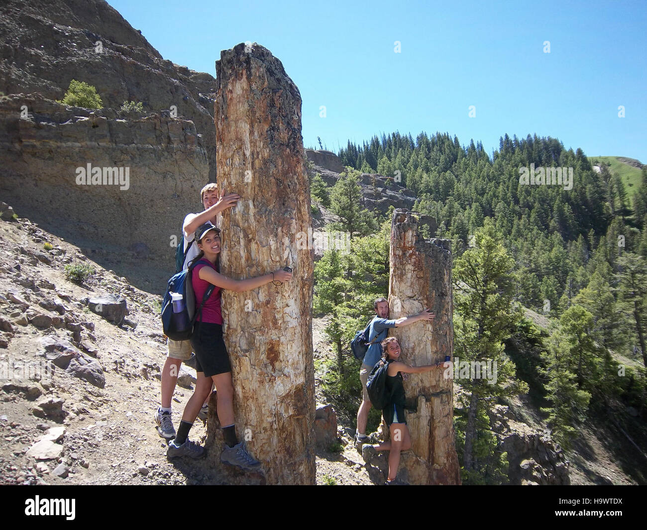 Un gruppo di membri del Youth Conservation Corps (YCC) che lavorano su progetti di conservazione nel parco nazionale di Yellowstone. I programmi YCC si concentrano sull'educazione dei giovani, contribuendo al contempo alla conservazione del parco e al restauro ecologico. Foto Stock Un gruppo di membri del Youth Conservation Corps (YCC) che lavorano su progetti di conservazione nel parco nazionale di Yellowstone. I programmi YCC si concentrano sull'educazione dei giovani, contribuendo al contempo alla conservazione del parco e al restauro ecologico. Foto Stock