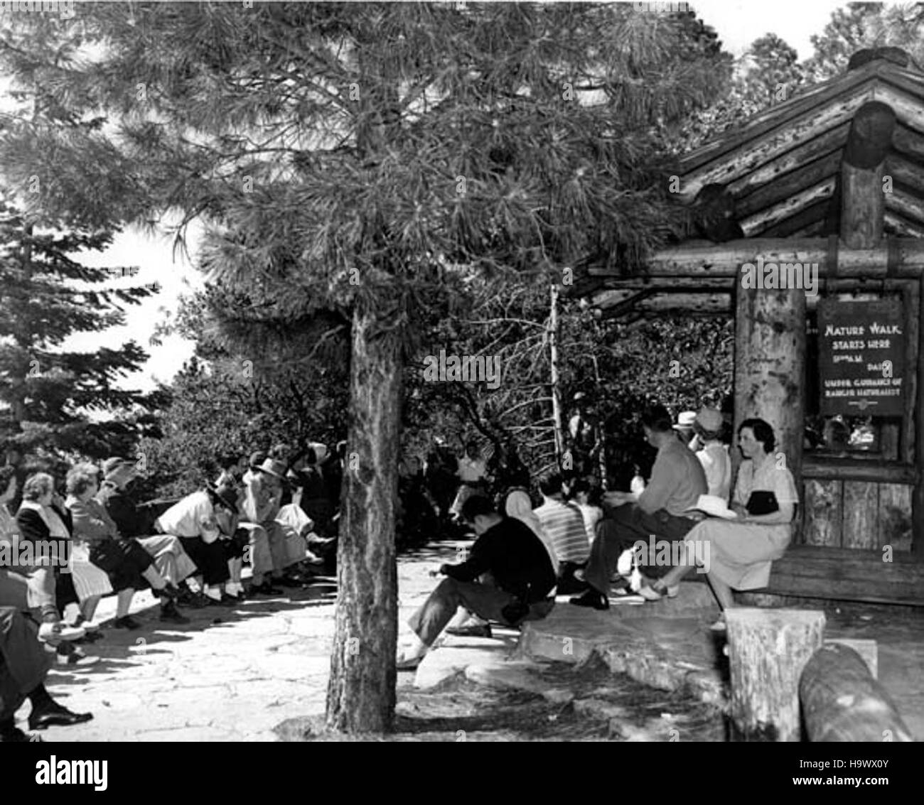 Grand Canyon nps 01894 4680104372 Grand Canyon storico North Rim natura a piedi c. 1949 Foto Stock