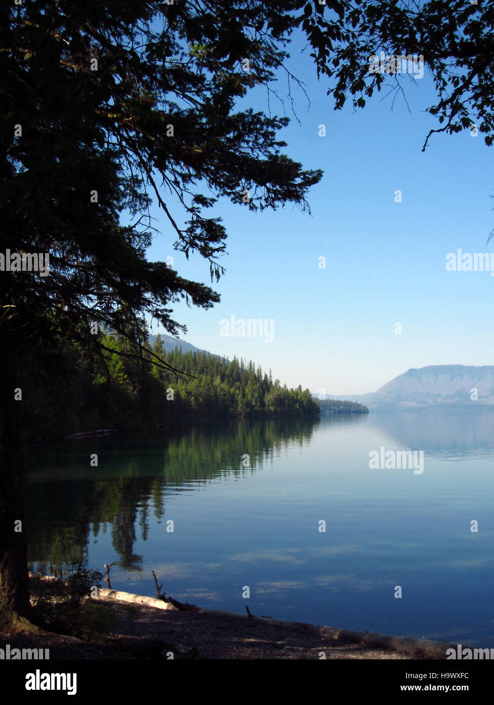 7644792072 glaciernps Lago McDonald, 10 miglia (estrazione Jackson Bay) - 8 Foto Stock