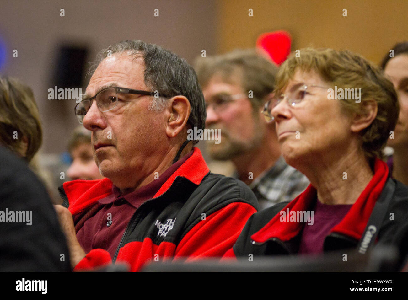 Una fotografia dal Glacier National Park che cattura la vista durante il DVC (Denali View Concert), mostrando lo splendido sfondo del Denali National Park e la bellezza naturale della natura selvaggia dell'Alaska. Foto Stock
